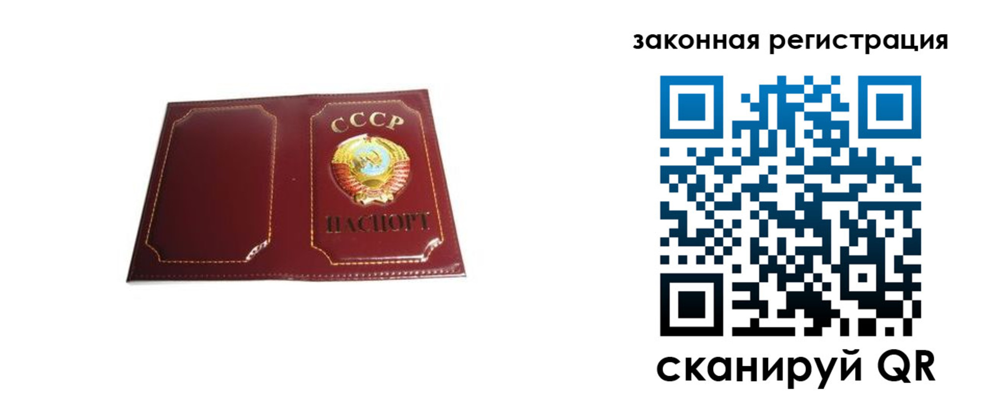прописка поиск в Асино